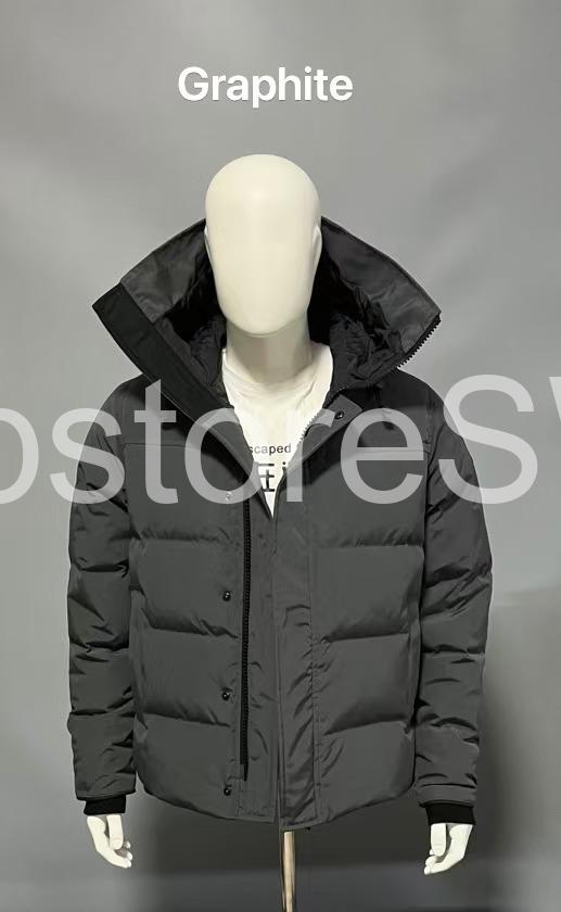 auto draft auto draft